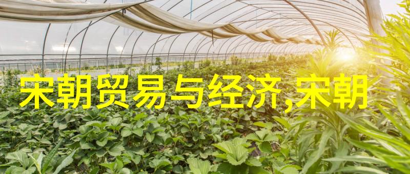 元朝中国叫什么老子还记得呢
