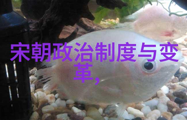简夏冷廷遇对着镜子做视频-镜中花自应红简夏冷廷的日常录制