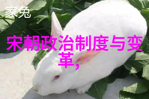 绕床骑竹马小说TXT我家的竹马故事从床上到书架上的奇幻历程
