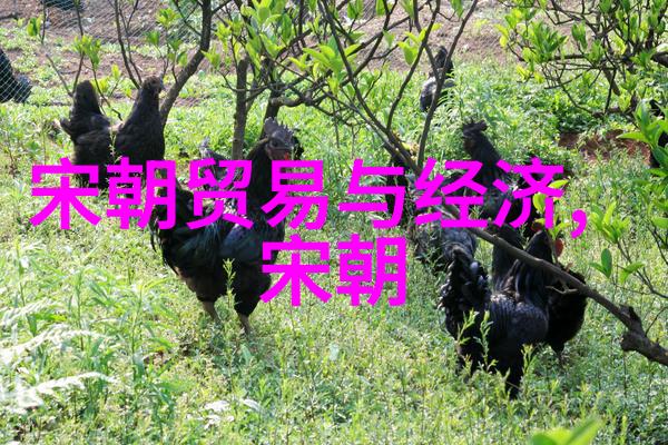 实验室里的魔法师与数学的巫师