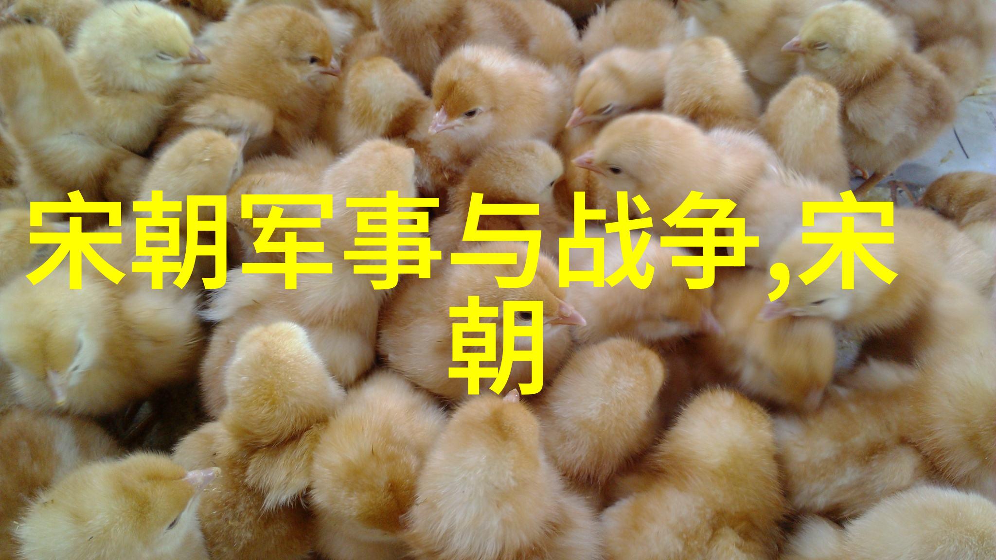 明朝帝王风范评析最具盛名者