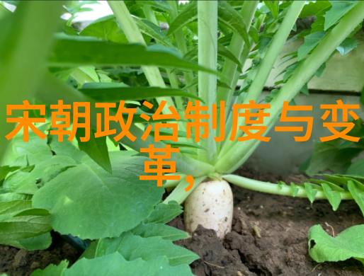 探秘博果尔背后的神秘娘