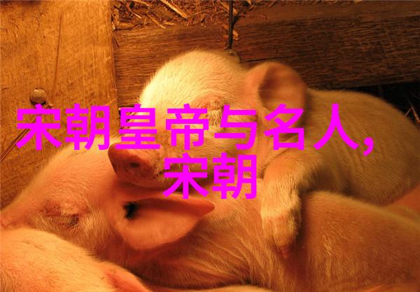 元朝历史智慧治国理政的宝贵启示