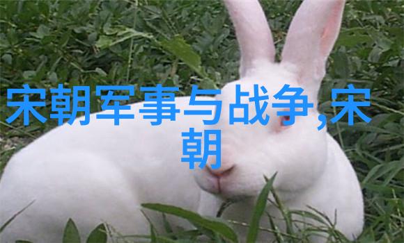 元朝是世界上最强大的国家吗历史上的中国帝制与国际权力比较