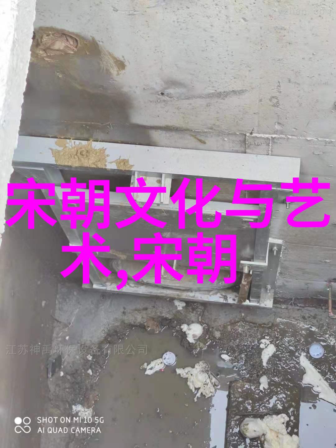 宋代史料中的千古之谜李白的真实面目究竟是怎样的