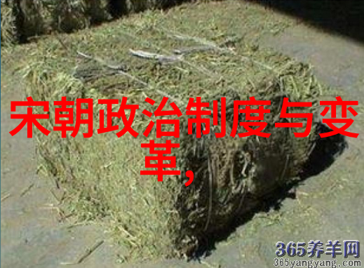他统治期间对内部矛盾是如何进行平衡与处理的呢