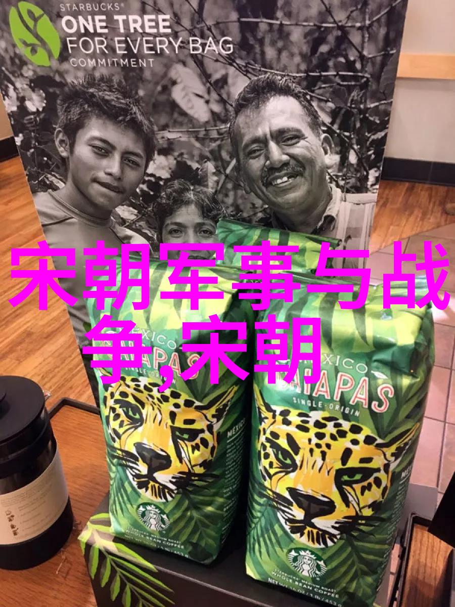 军事观察中的付砚农农耕与战略的对偶之美