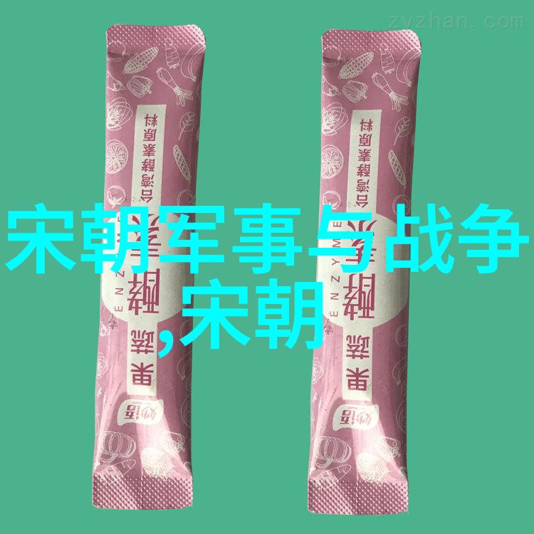 辛弃疾一生辉煌成就文化小故事中他如何绘就生平简介