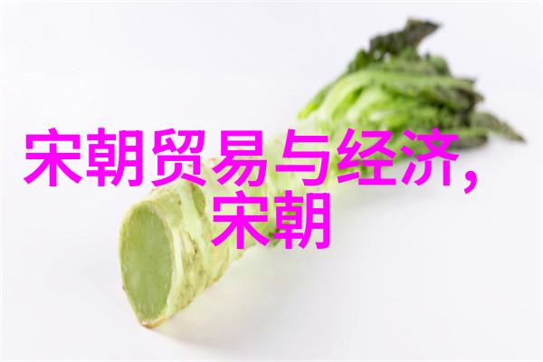 历史剧情-土木堡之战忠诚与背叛的影子