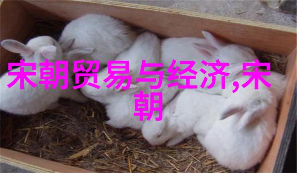 崔液探究国学经典的深邃智慧