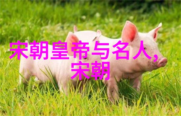 明朝那些事儿3000字读后感之旅