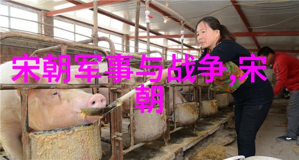 时光长河揭秘中国历史的未解之谜