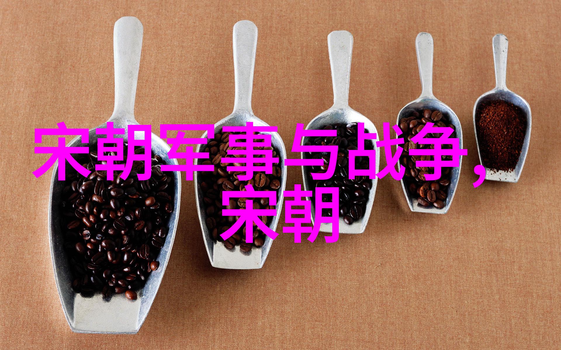 历史中的转折点北周对杨坚进行禅任的深度剖析