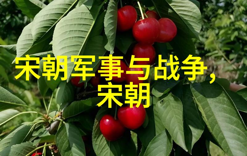 历史探究-明朝覆灭之谜从利剑到火药的终结