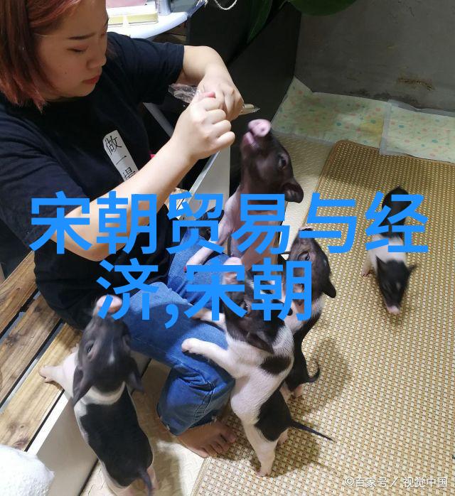 社会结构士农工商四层社会格局探究