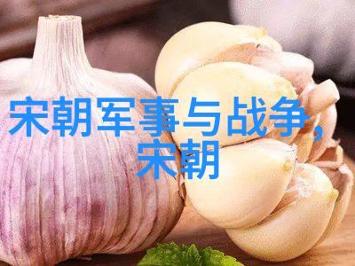 中华上下五千年元朝故事简介古典帝王的荣耀与民间英雄的传奇