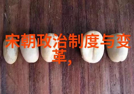 元朝盛世绘影绘声繁华诗篇的回响