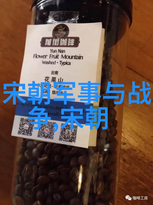 历史辩论-北元与明朝正统之争史实考证与学术界观点