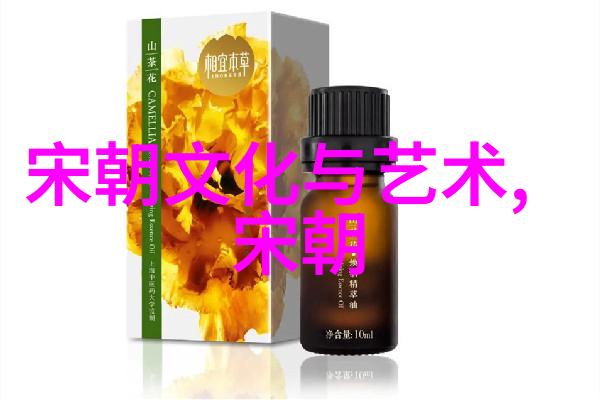南诏国覆灭记唐军征服的高原帝国