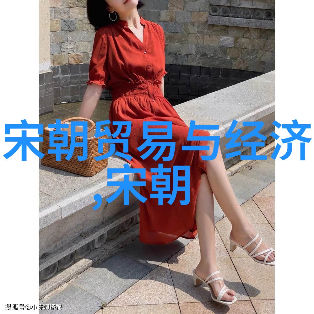明朝覆灭之际清太宗努尔哈赤继位与中原政权的重组