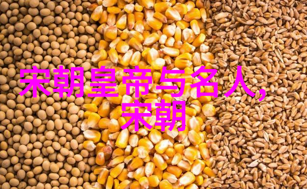 明朝朱允炆下落真相-沉睡在历史的深渊揭秘朱允炆的消失之谜