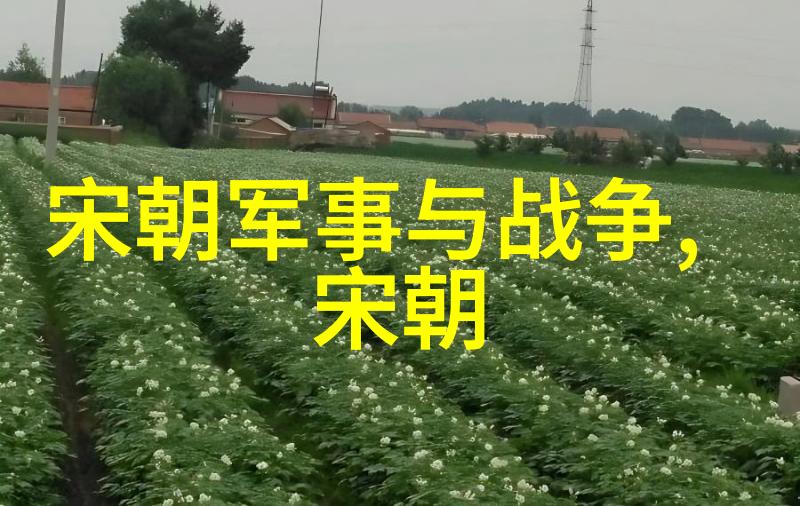 明朝那些事讲述的历史奇遇探索明朝宫廷权力斗争与社会变迁