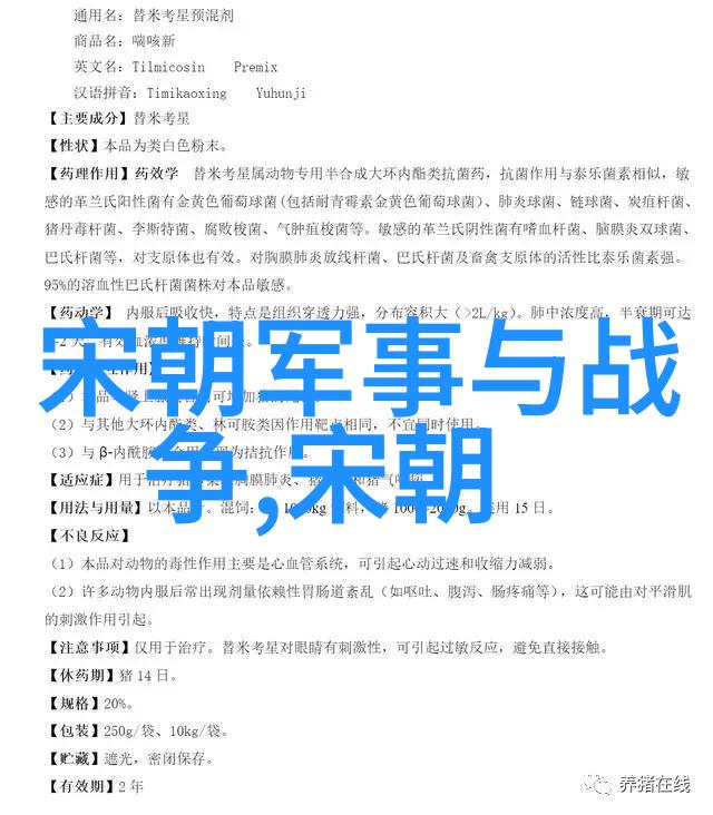 明朝的辉煌与衰落历史长河中的盛世与变迁