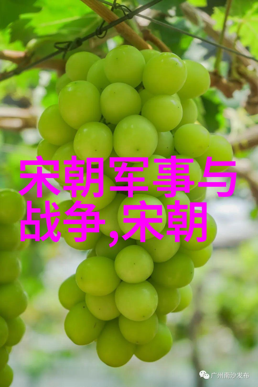 历史上的朱瞻基有多狠他的霸权之路上血雨腥风中隐藏着怎样的复杂情感与深沉算计