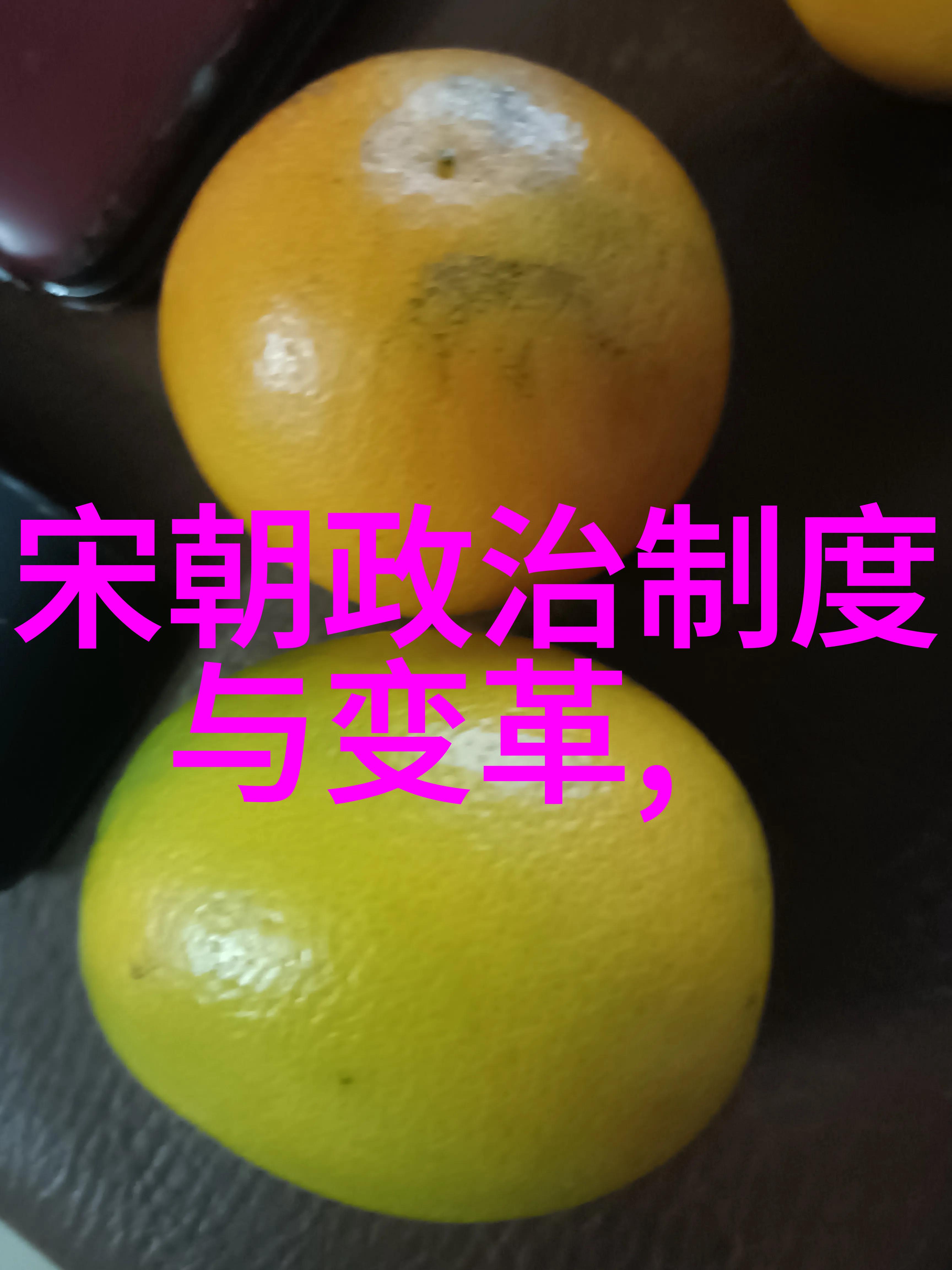 文化交流中的艺术创新蒙古征服下的汉文化影响力