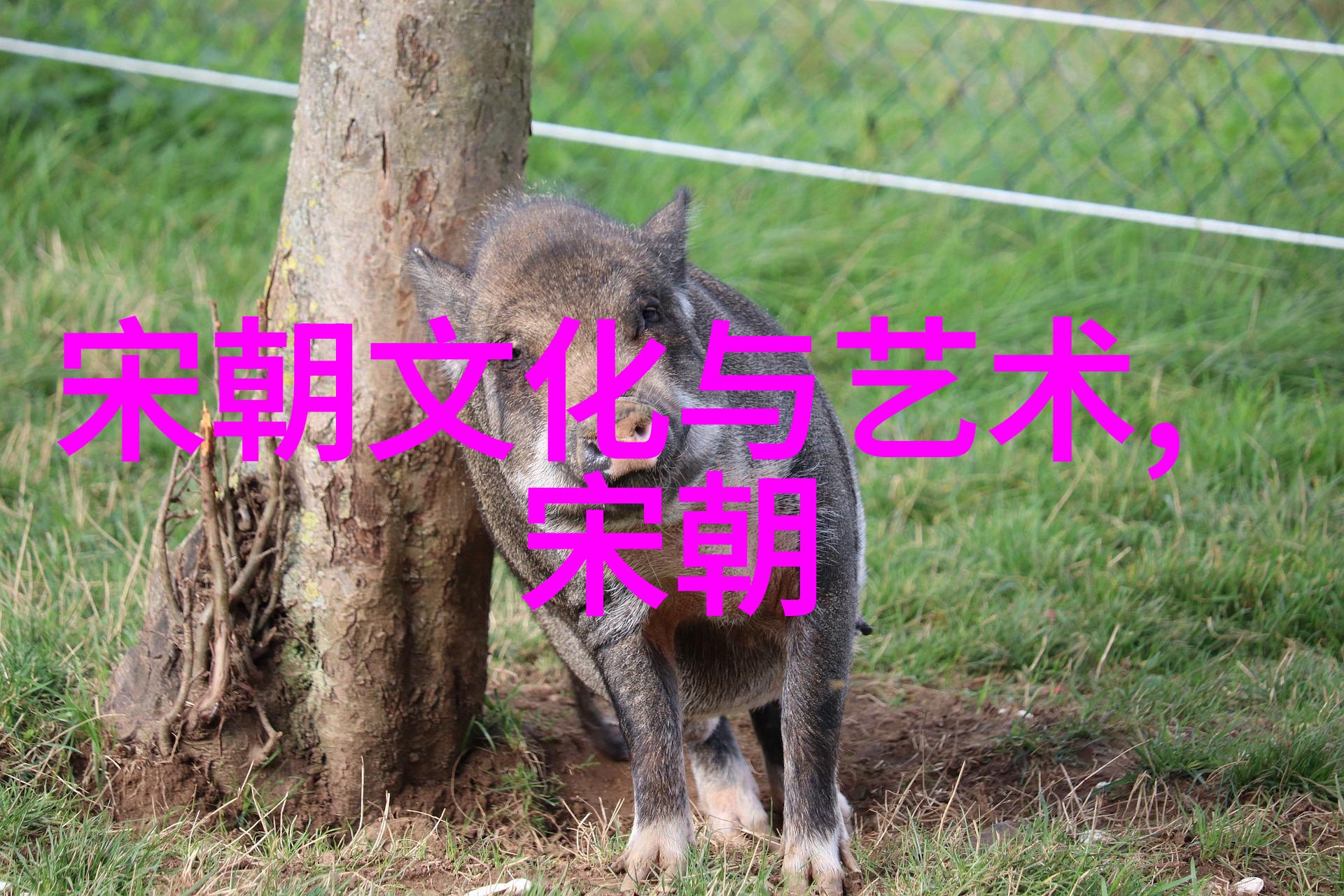 女驸马黄梅戏亲临第六届艺术节文化以主角之姿绽放