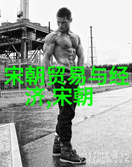 明朝的辉煌与衰落历史的见证与教训