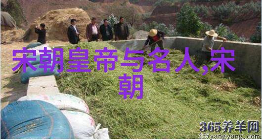 黄梅戏碧玉簪韩再芬旦行演员之光