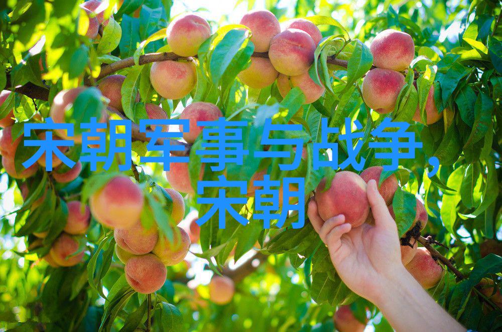 史记的编纂司马迁的历史征程