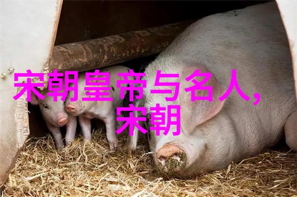 明朝历史解说辉煌盛世与衰败的征程