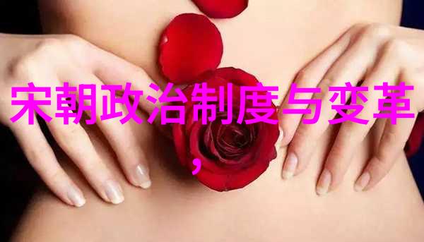 画卷里的历史靖康之变与刘亦菲的沉淀