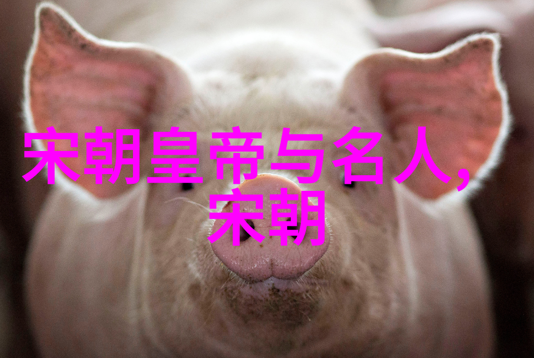 孔子智慧的光芒中国学习网探索古代教育智慧