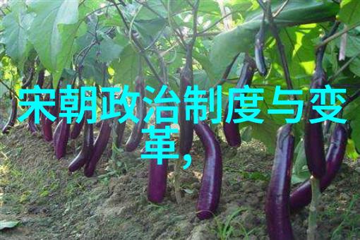 画卷中的秘密中西艺术之谜