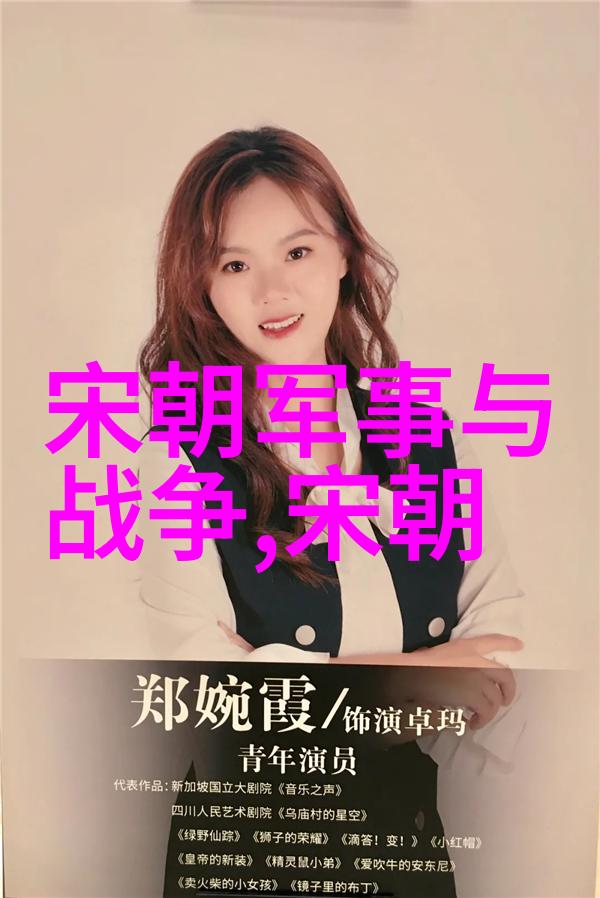 历史的赞誉宋朝专家之谜