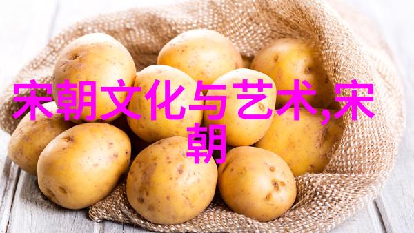 中国历史上的三大虚弱朝代南宋金朝与西汉的衰落