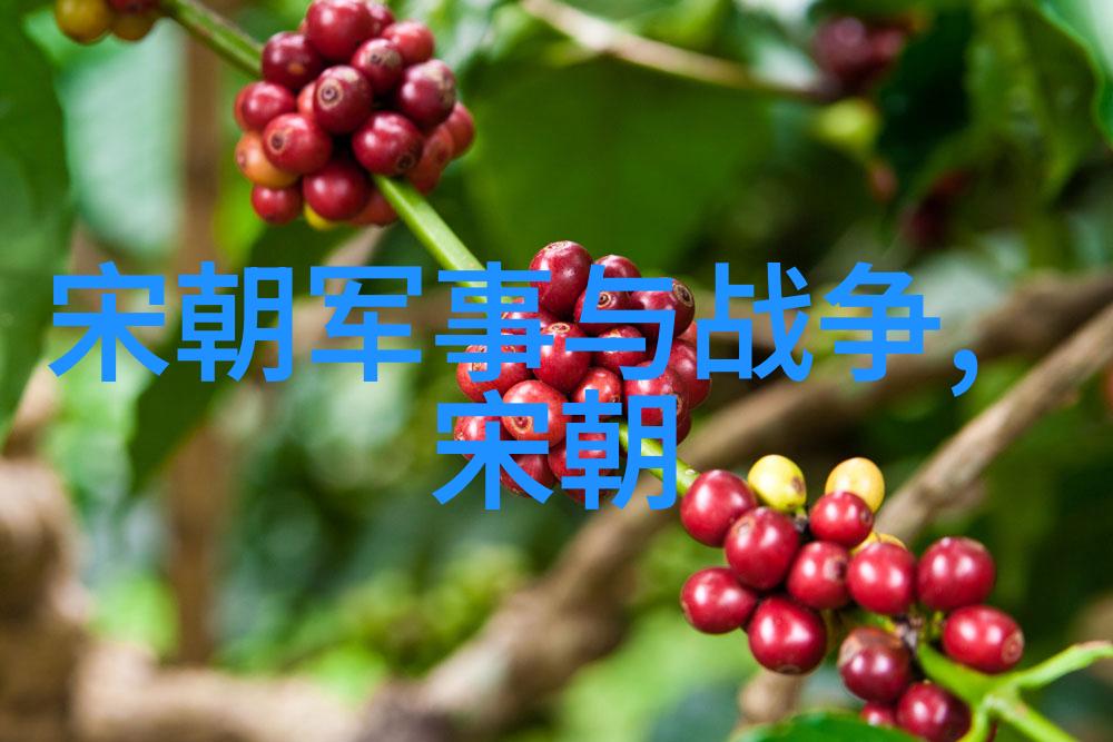 明朝末年的动荡与迷信民间信仰如何影响政治局势