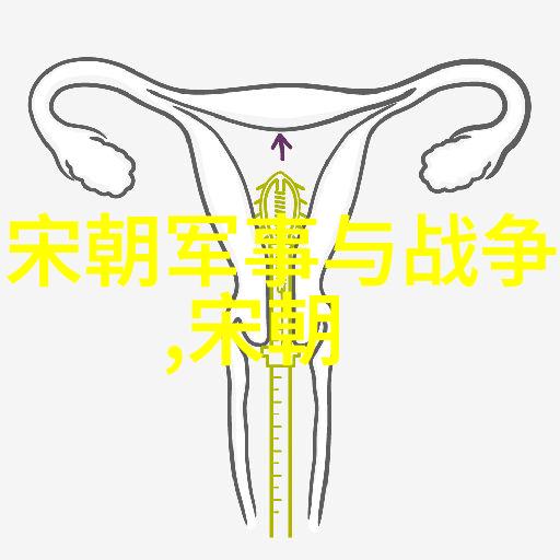 明代英杰朱祁镇的战神称号