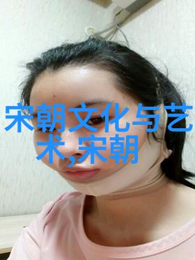 北宋灭亡简明回顾中国历史上的政治衰败与军事挫折