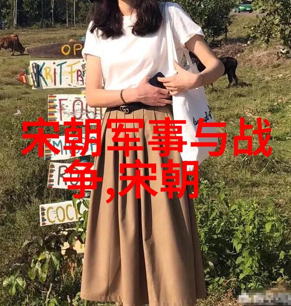 酒店间隙的偶遇我在房间角落拍下的意外短片