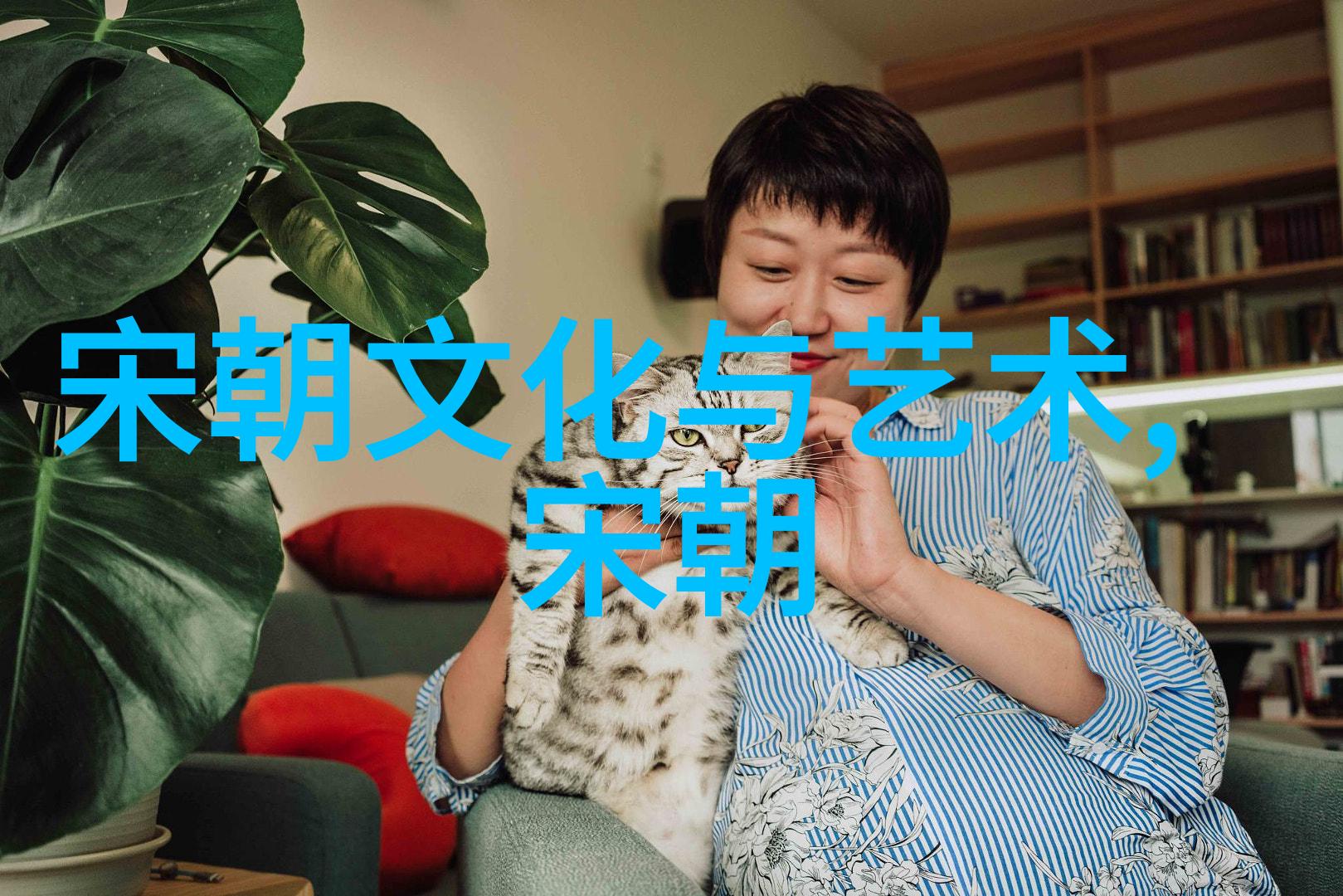 文化繁荣明朝艺术文学与教育