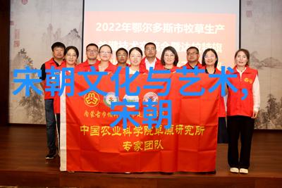 明朝那些事儿从盛世到衰败光与影交织的奇书