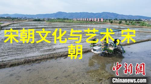 元朝对边疆民族政策及其影响力分析