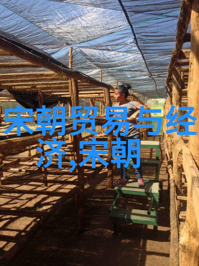明朝辉煌与衰落一代无昏君的沉思