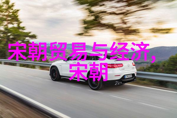 南宋王朝的兴衰历程与各代君主的治世安邦策略