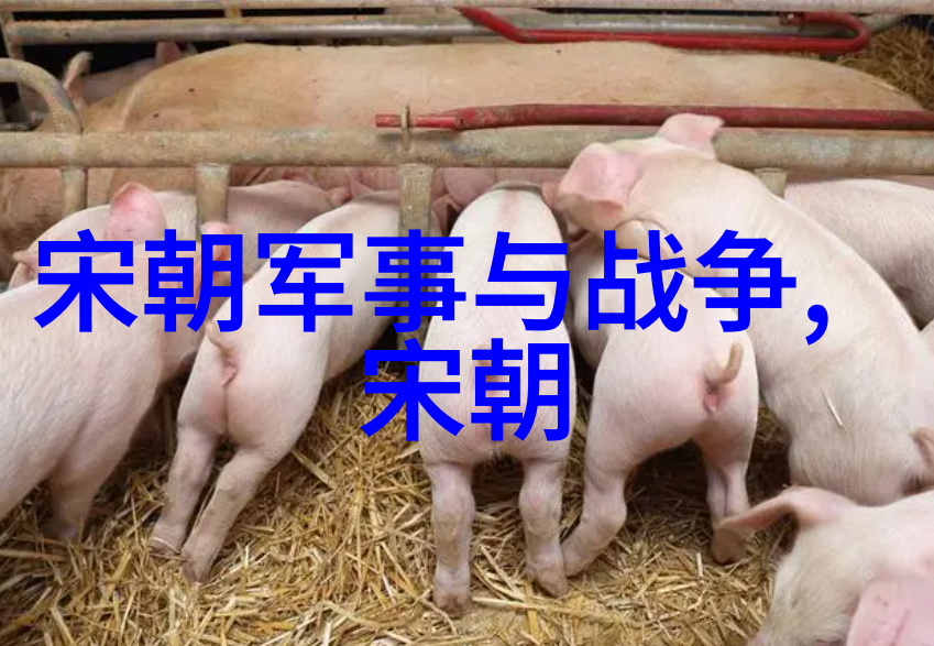 一边做饭一边躁狂暴躁播放视频-煮食与狂欢如何在厨房中找到放松