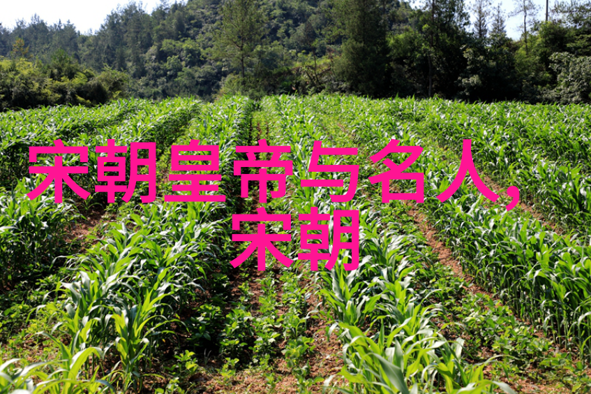 中国古代帝王系列秦始皇汉武帝唐太宗宋真宗